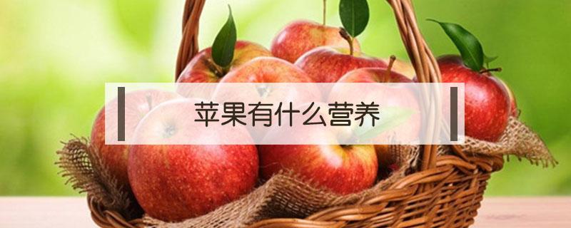 苹果有什么营养 苹果有什么营养成分