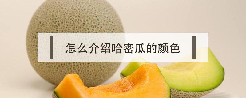 怎么介绍哈密瓜的颜色（哈密瓜的颜色怎么描述）