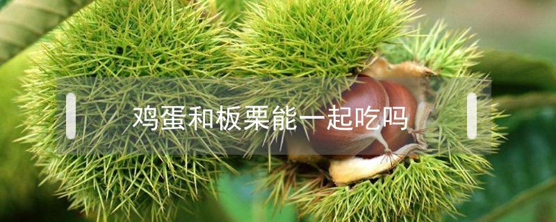 鸡蛋和板栗能一起吃吗 鸡蛋跟板栗可以一起吃吗