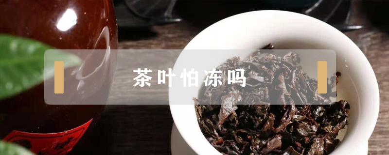 茶叶怕冻吗（包装好的茶叶怕冻吗）