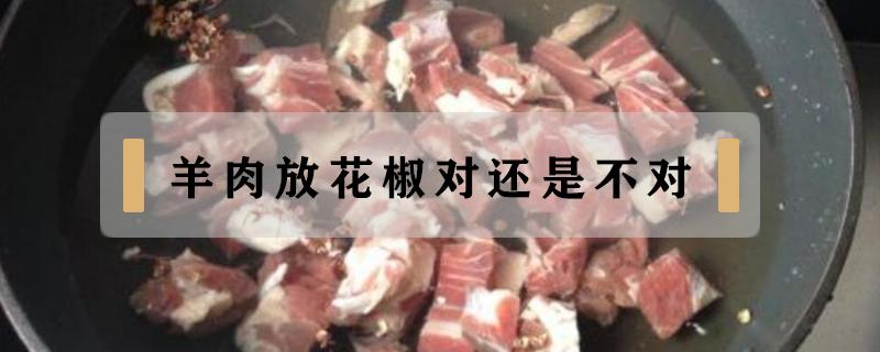 羊肉放花椒对还是不对（羊肉放花椒对还是不对红烧）