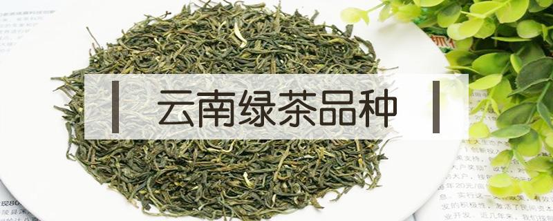 云南绿茶品种（云南绿茶有哪几种）