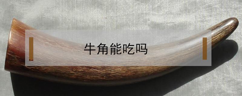牛角能吃吗（牛角吃了什么好处）