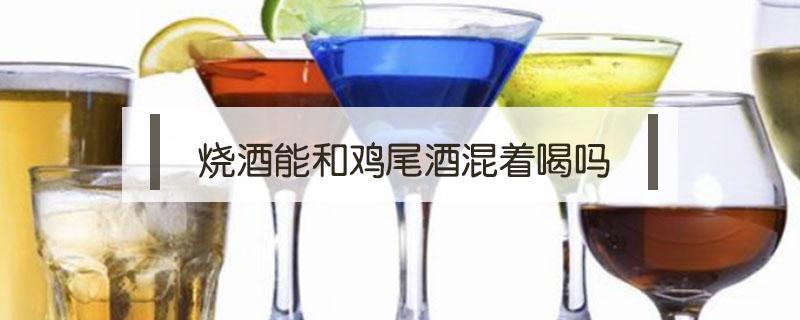 烧酒能和鸡尾酒混着喝吗 鸡尾酒可不可以混到一起喝