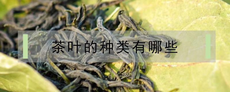 茶叶的种类有哪些 茶叶的品种和名称大全