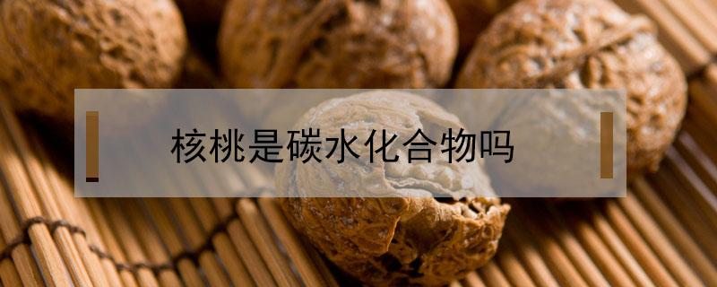 核桃是碳水化合物吗（山核桃是碳水化合物吗）