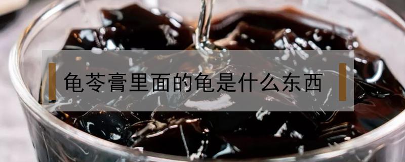 龟苓膏里面的龟是什么东西 龟苓膏有龟