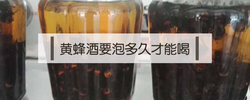 黄蜂酒要泡多久才能喝