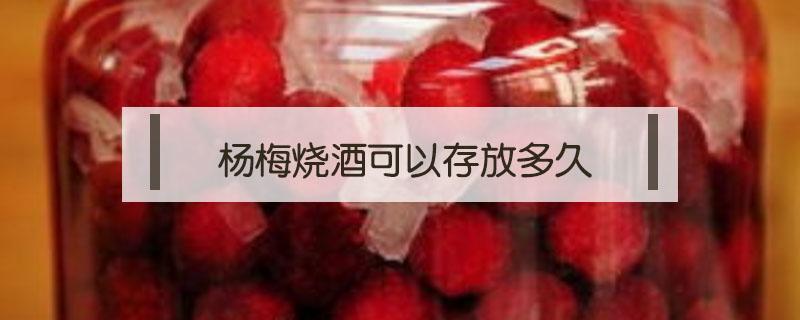 杨梅烧酒可以存放多久