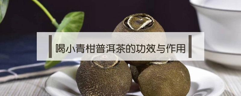 喝小青柑普洱茶的功效与作用 小青柑普洱茶什么功效