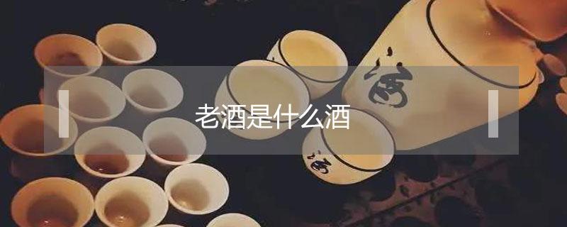 老酒是什么酒 福建老酒是什么酒