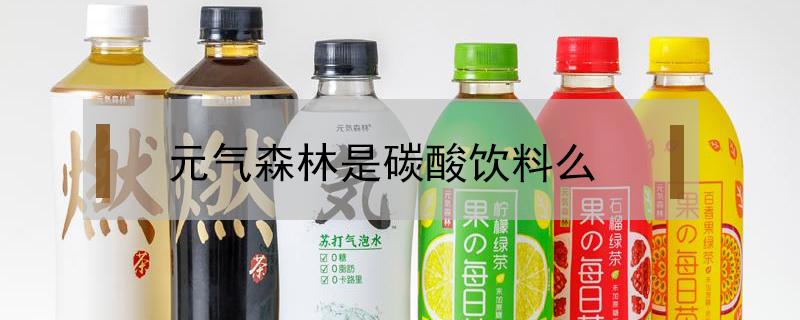 元气森林是碳酸饮料么