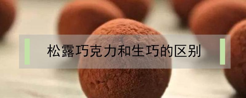 松露巧克力和生巧的区别 松露巧克力 生巧克力区别