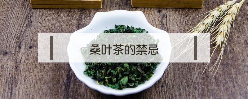 桑叶茶的禁忌（桑叶茶的禁忌百度百科）