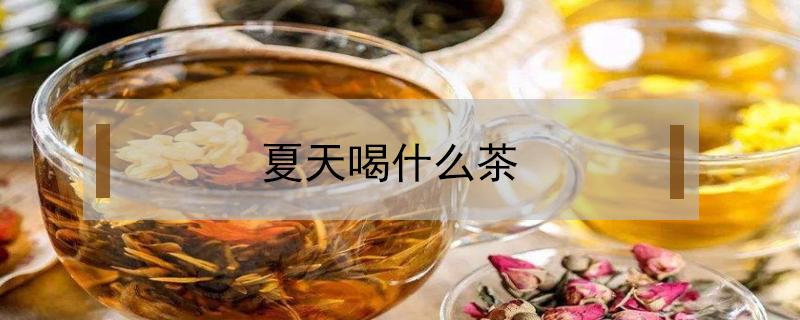 夏天喝什么茶 夏天喝什么茶降火,去湿气