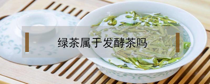 绿茶属于发酵茶吗（绿茶属于什么发酵的茶）