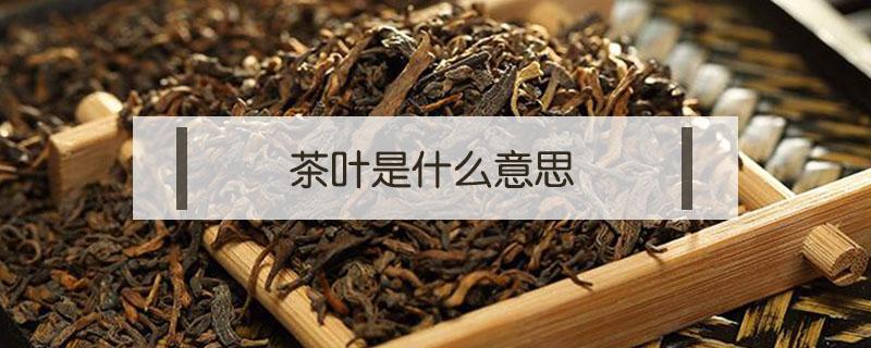 茶叶是什么意思（茶叶萎凋是什么意思）