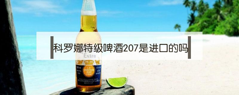 科罗娜特级啤酒207是进口的吗（科罗娜特级啤酒310ml）