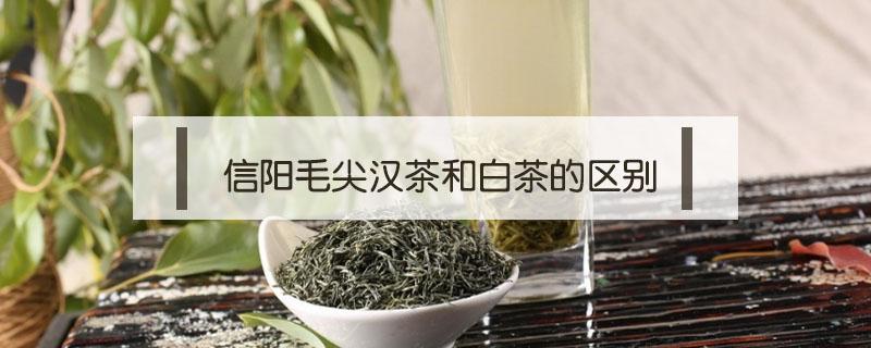 信阳毛尖汉茶和白茶的区别 信阳毛尖大白茶是什么意思