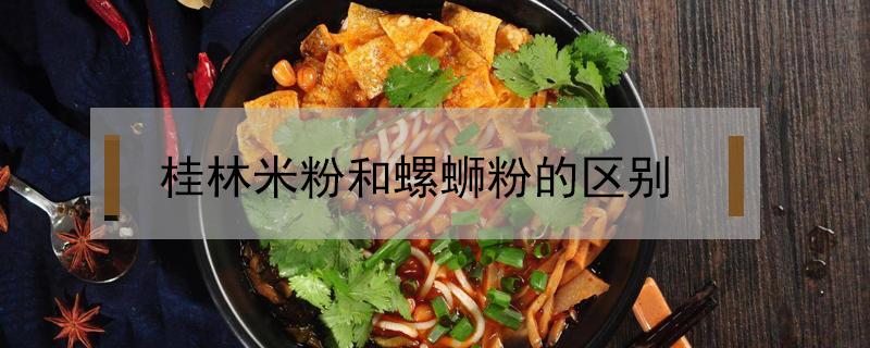 桂林米粉和螺蛳粉的区别（桂林米粉和螺蛳粉的区别在哪里）