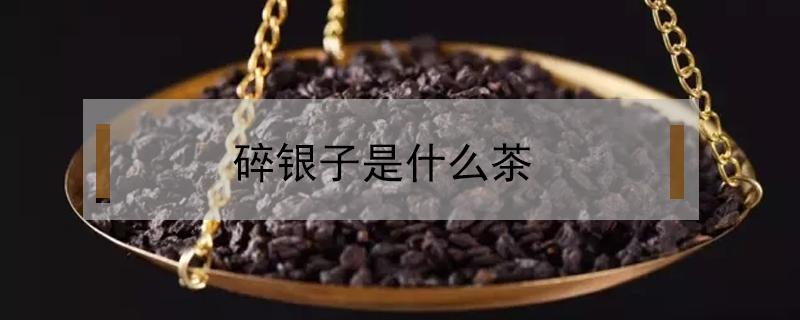 碎银子是什么茶（碎银子是什么茶,怎么泡好喝）