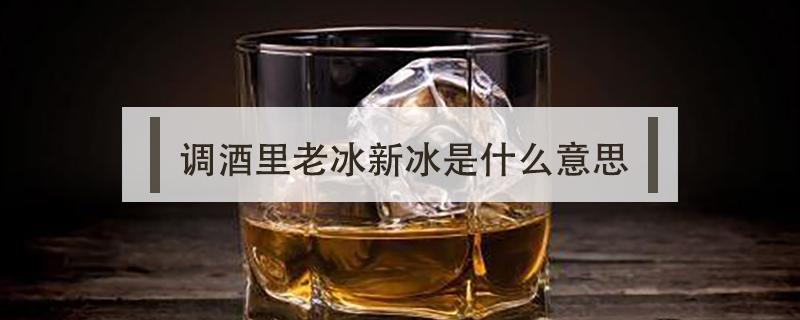 调酒里老冰新冰是什么意思（调酒的冰为什么叫老冰）