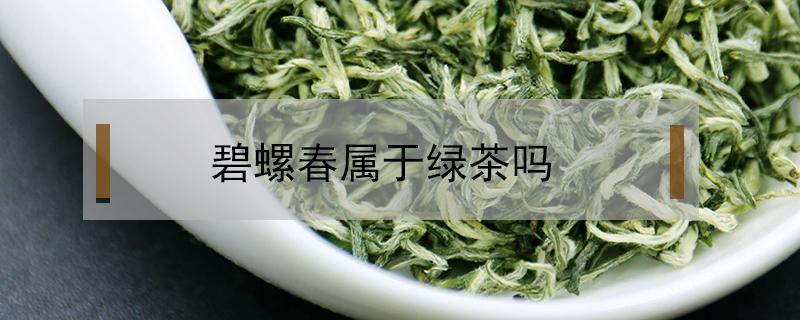 碧螺春属于绿茶吗 请问碧螺春属于绿茶吗