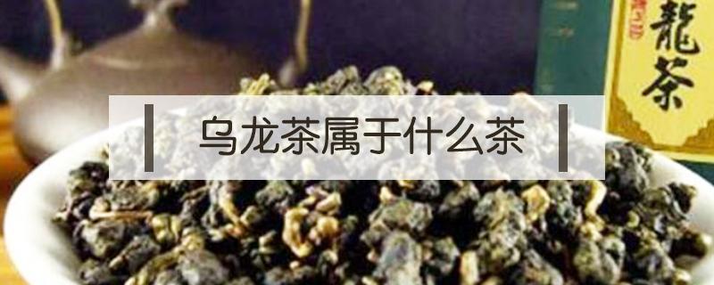 乌龙茶属于什么茶（乌龙茶属于什么茶种）