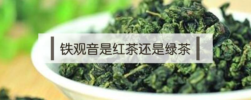 铁观音是红茶还是绿茶 大红袍是红茶还是绿茶