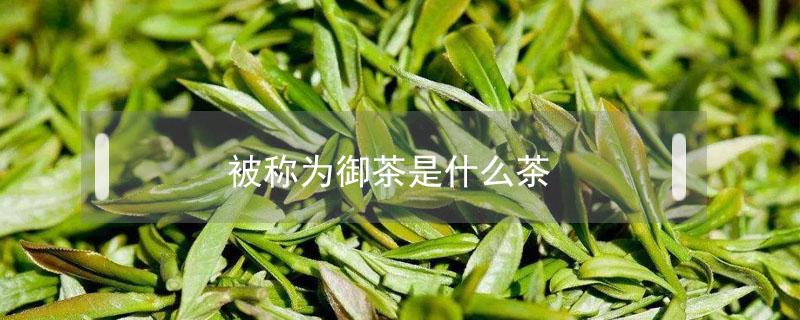 被称为御茶是什么茶（什么叫御茶）