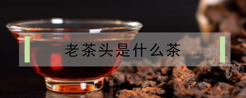 老茶头是什么茶（老茶头是什么茶价格多少）