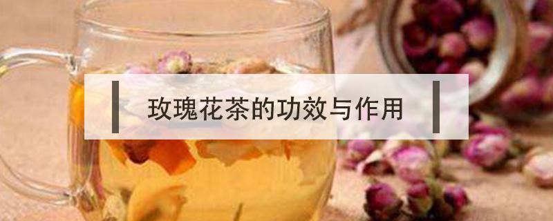 玫瑰花茶的功效与作用 玫瑰花茶的功效与作用什么人不能喝