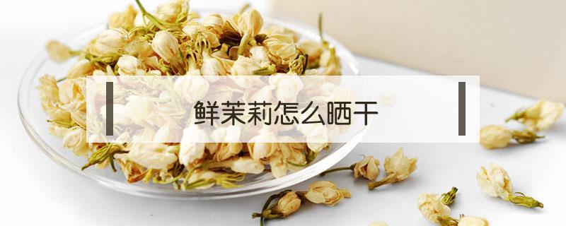 鲜茉莉怎么晒干 茉莉花可以直接晒干吗