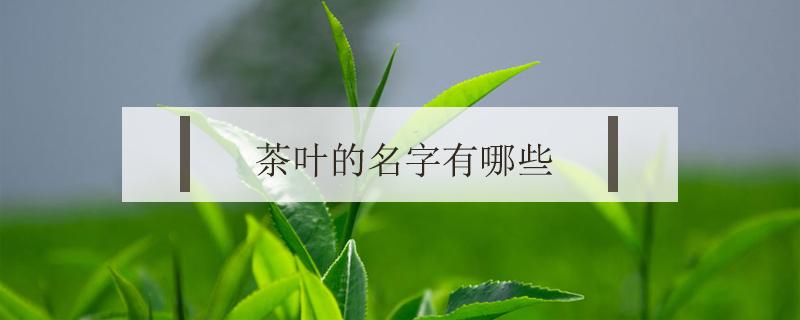 茶叶的名字有哪些 与茶叶有关的名字大全