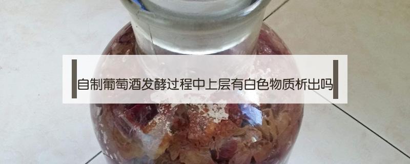 自制葡萄酒发酵过程中上层有白色物质析出吗