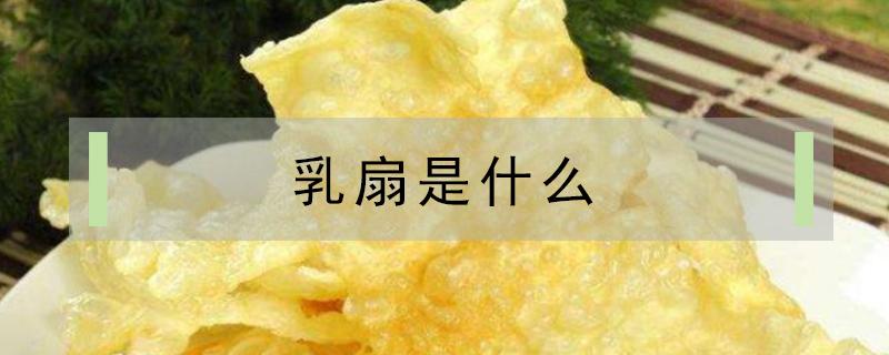 乳扇是什么 乳扇是什么奶做的