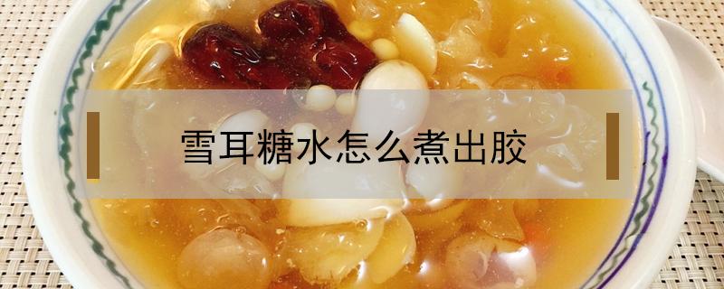 雪耳糖水怎么煮出胶（雪耳桃胶糖水的做法窍门）