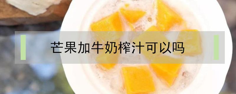 芒果加牛奶榨汁可以吗（榨芒果汁可以放牛奶吗）