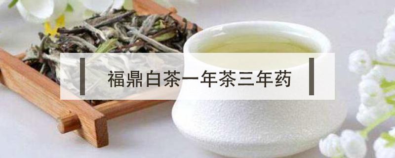 福鼎白茶一年茶三年药 福鼎白茶一年茶三年药七年宝是什么意思