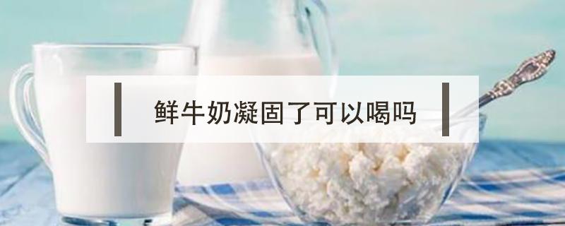 鲜牛奶凝固了可以喝吗 纯牛奶凝固了能喝吗