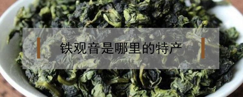 铁观音是哪里的特产 哪里盛产铁观音