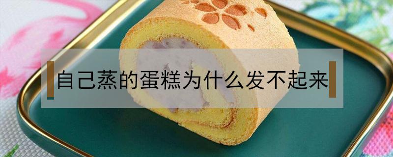 自己蒸的蛋糕为什么发不起来（为什么蛋糕会蒸不起来发不起来）