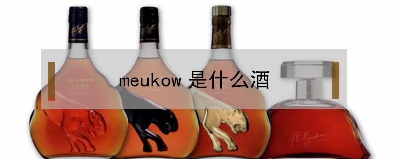 meukow是什么酒（meukow是什么酒vsop 什么价格）