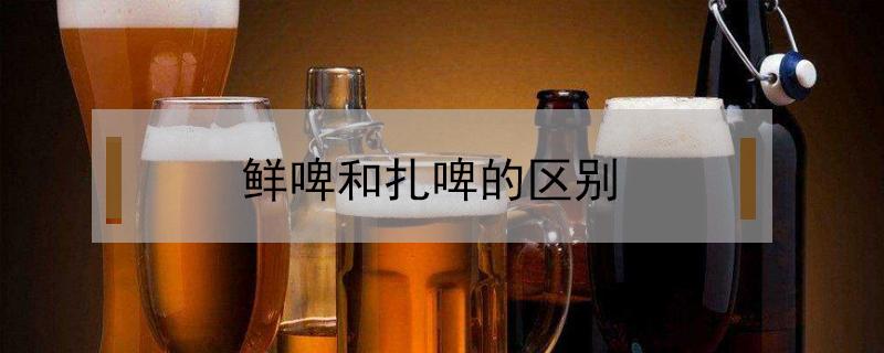 鲜啤和扎啤的区别 鲜啤和扎啤的区别是什么