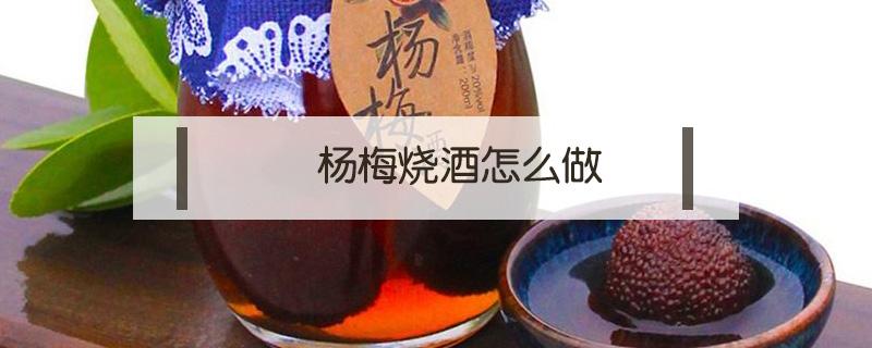 杨梅烧酒怎么做