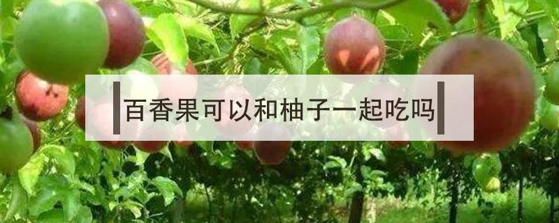 百香果可以和柚子一起吃吗 柚子可以跟百香果一起吃吗?