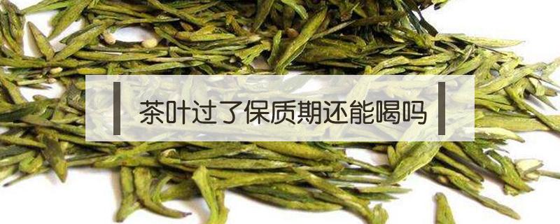 茶叶过了保质期还能喝吗 没开封的茶叶过了保质期还能喝吗