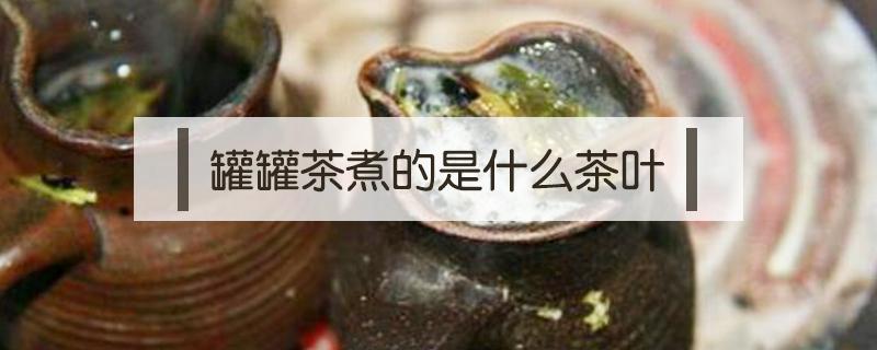 罐罐茶煮的是什么茶叶(罐罐茶里面都有啥)