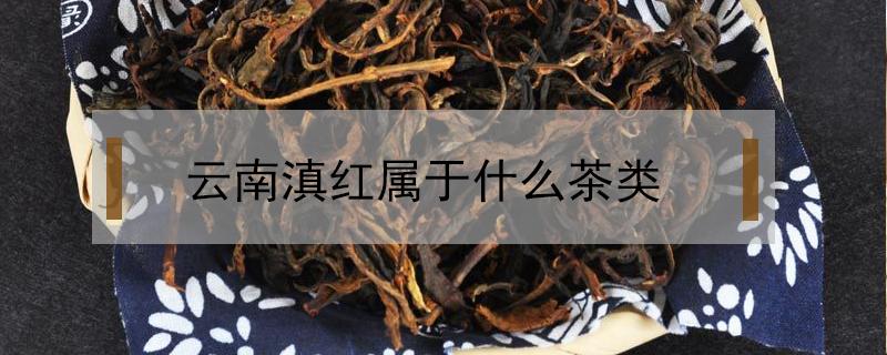 云南滇红属于什么茶类 滇红茶的种类,滇红茶有哪些?