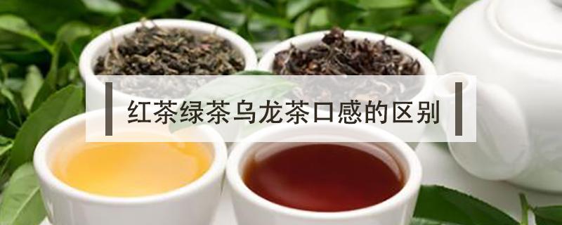 红茶绿茶乌龙茶口感的区别